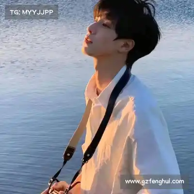 毛皎素
